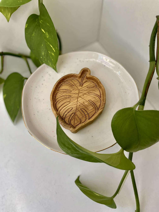 'Monstera' tölgyfa tálka 🪵🌿