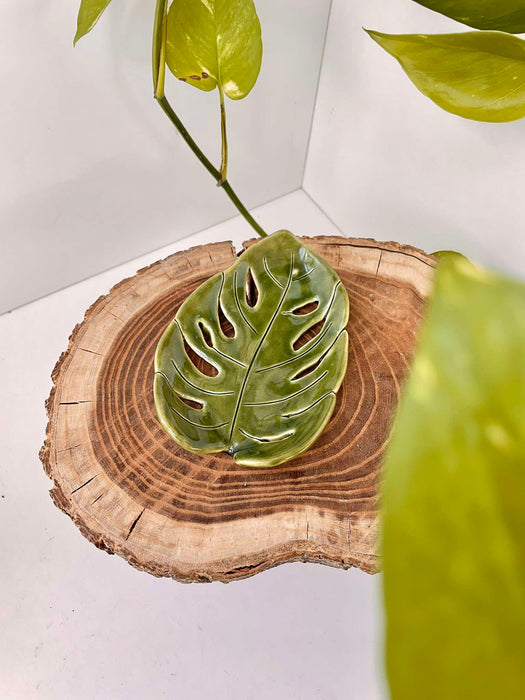 'Monstera' kerámia alátét / tálka 💚