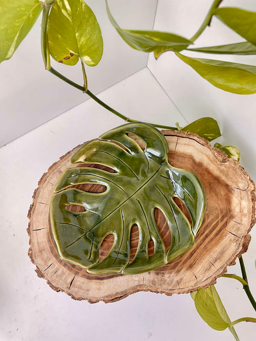 'Monstera' kerámia alátét / tálka 💚