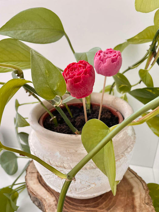 'Illatvirág' kaspódísz 💐