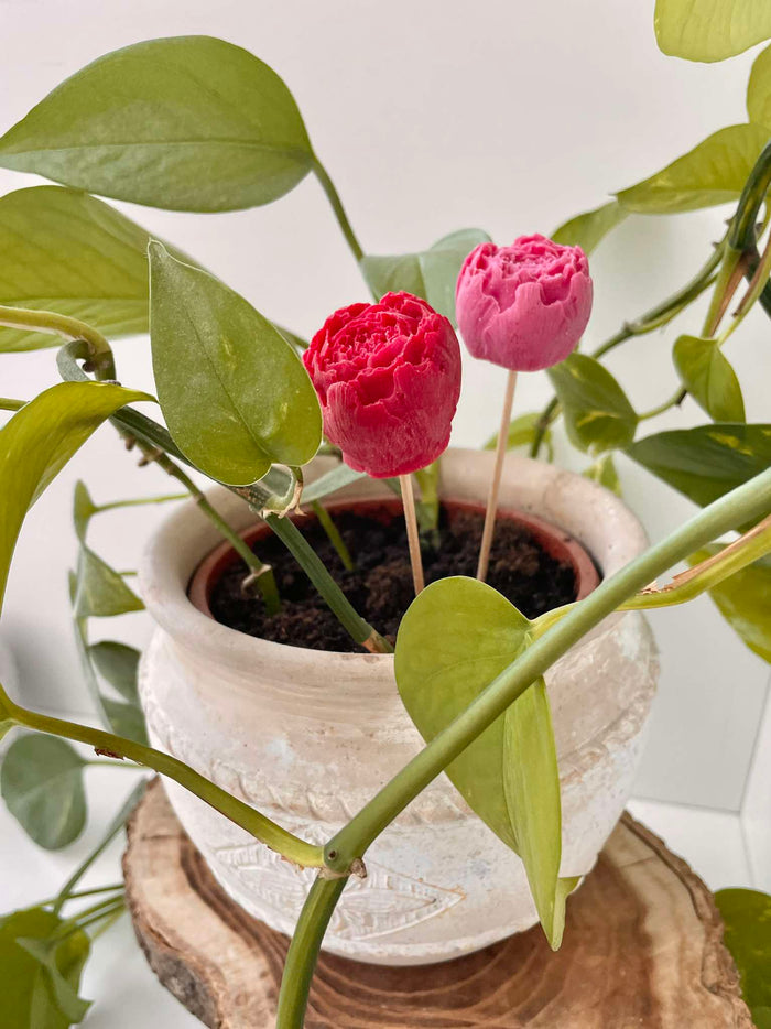 Friss és Üde Illatú Lélekmelengetők 🌿