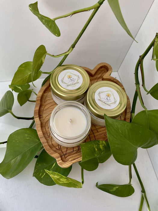 'Monstera' tölgyfa tálka 🪵🌿