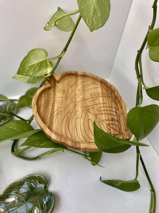 'Monstera' tölgyfa tálka 🪵🌿