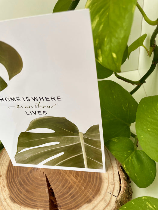 'Monstera' print 🖼️🌿