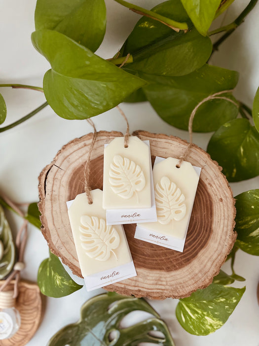 'Illatdísz' Monstera levéllel