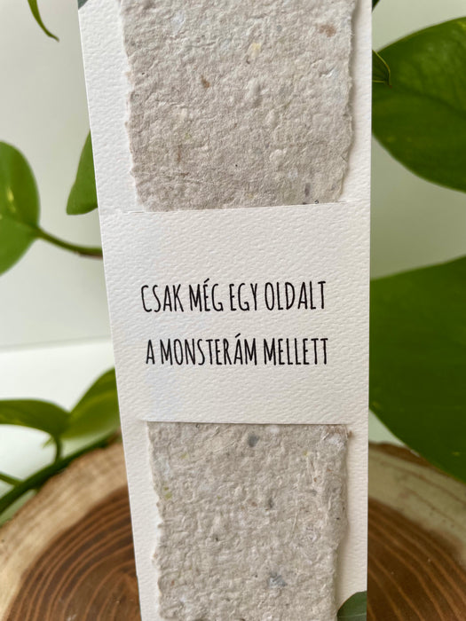 'Monstera' könyvjelző 📚🌿