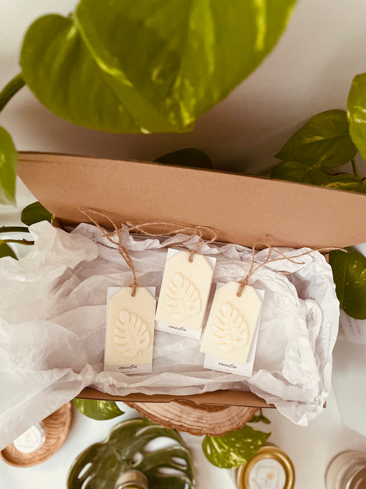 'Illatdísz' Monstera levéllel