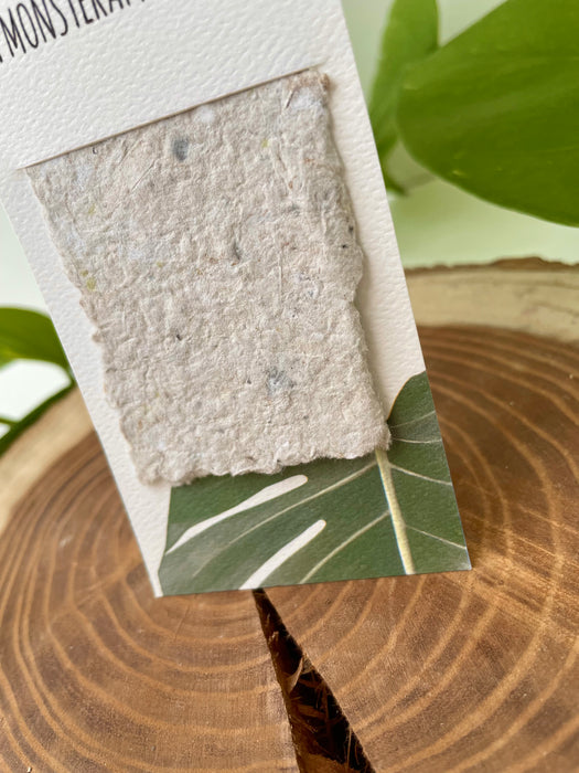 'Monstera' könyvjelző 📚🌿