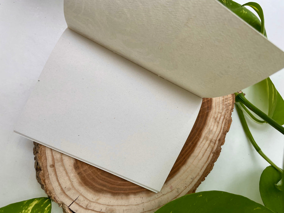 'Monstera' jegyzetfüzet 📝🌿