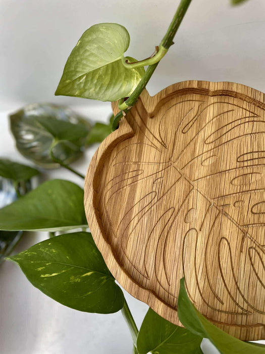 'Monstera' tölgyfa tálka 🪵🌿