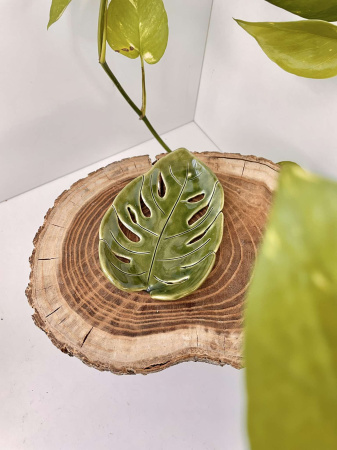 'Monstera' gyertyaalátét / tálka (kicsi) 💚