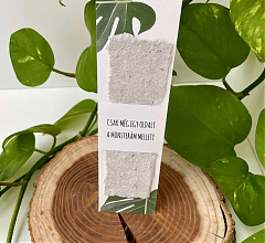 'Monstera' könyvjelző 📚🌿