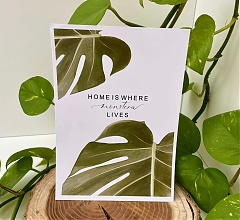 'Monstera' print 🖼️🌿