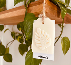 'Illatdísz' 🌿 Monstera levéllel